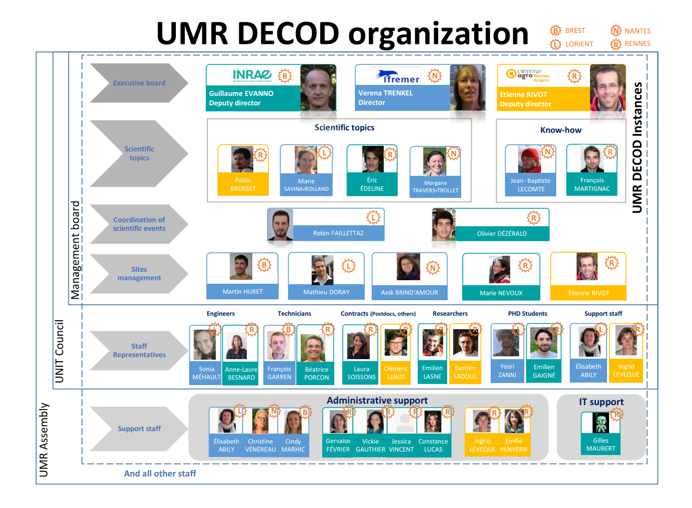 DECOD organisation chart