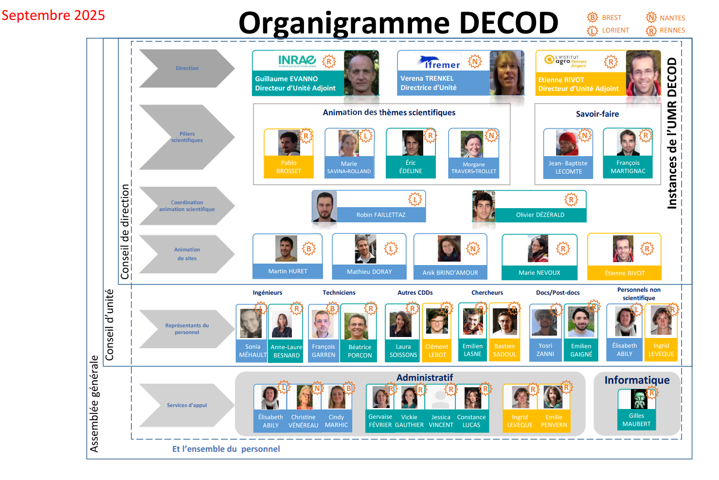 Organigramme DECOD