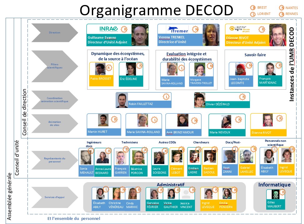 Organigramme DECOD