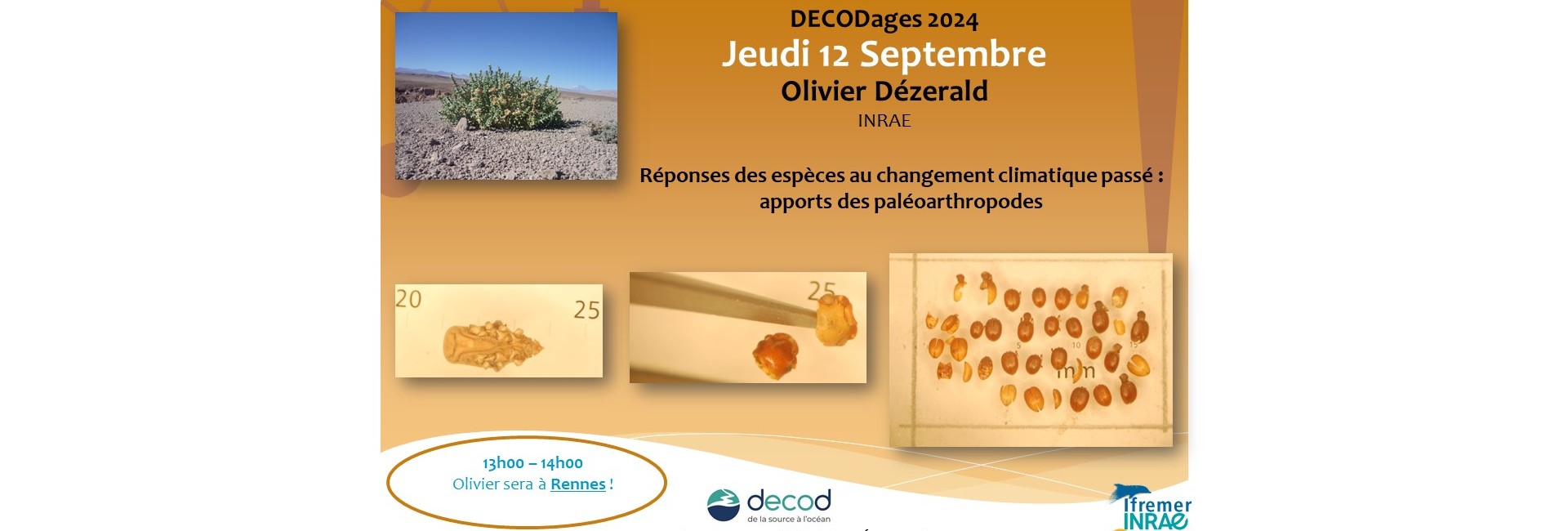  2024-09-12-DECODages2024_OD