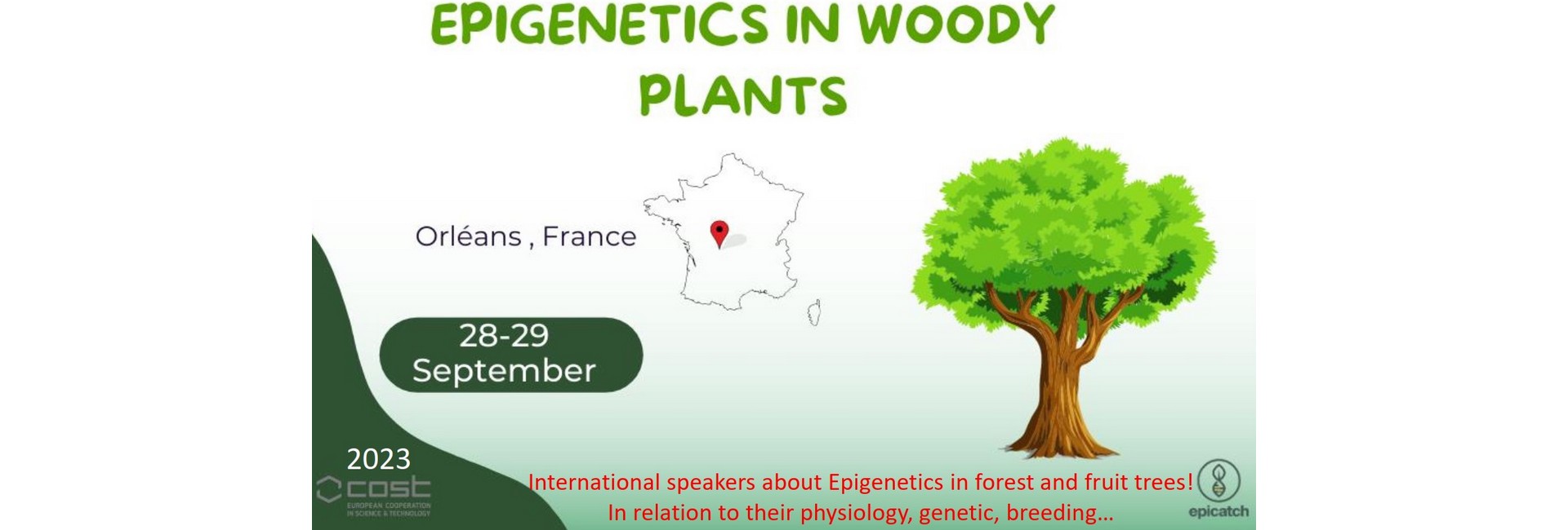  EPIGENETICS-IN-WOODY-PLANTS