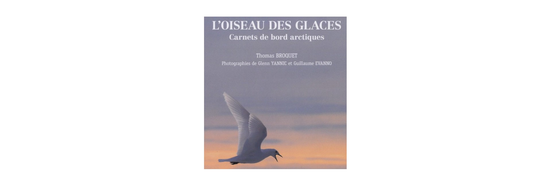 L’oiseau des glaces